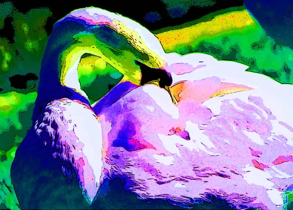 白天鹅是天鹅绒属的一种鸟类 象征着带有色斑的流行艺术背景图标 — 图库照片