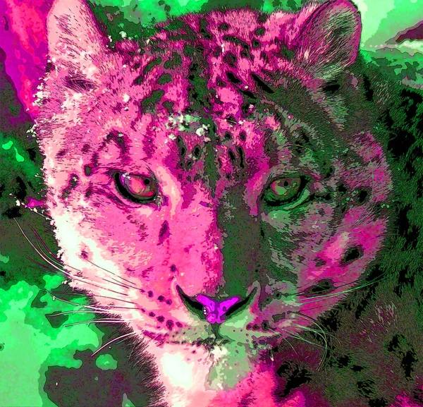 Snow Leopard Znamení Ilustrace Pop Art Pozadí Ikona Barevnými Skvrnami — Stock fotografie