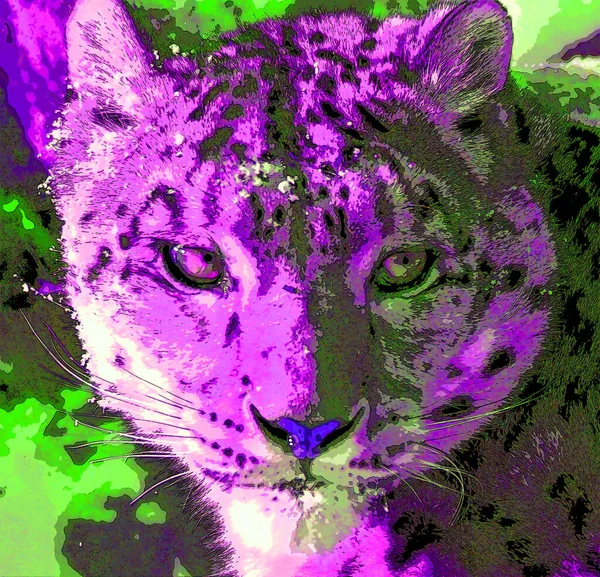 Kar Leoparı Renk Lekeli Pop Art Arkaplan Simgesi Imzası — Stok fotoğraf