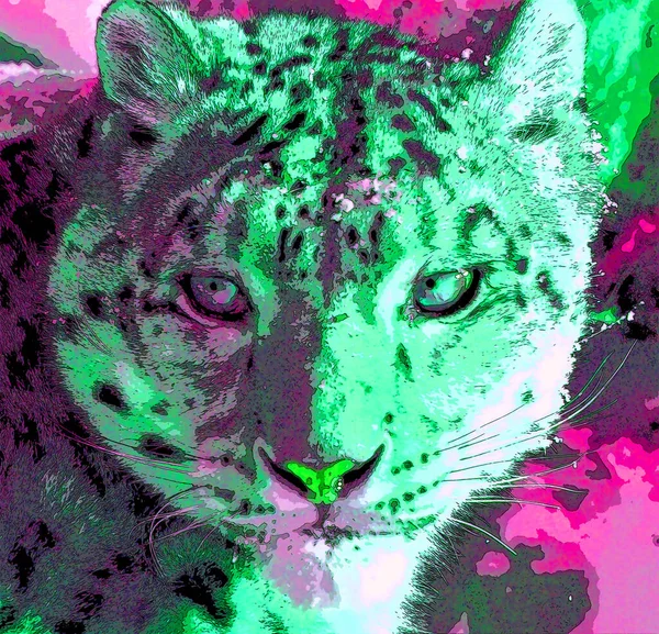 Snö Leopard Tecken Illustration Pop Art Bakgrund Ikon Med Färgfläckar — Stockfoto