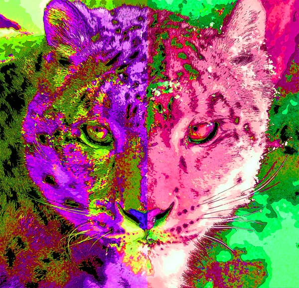 雪豹标志图为带有色斑的流行艺术背景图标 — 图库照片