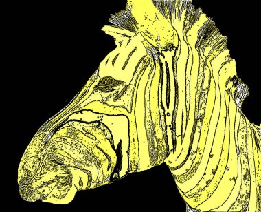 Zebralar renk lekeli pop-art arkaplan simgesini imzalarlar