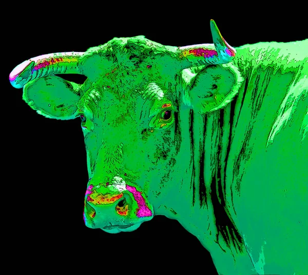 推销员 Salers 是原产于法国中部大草原坎塔尔的一种牛 是带有彩色斑点的背景符号图标 — 图库照片