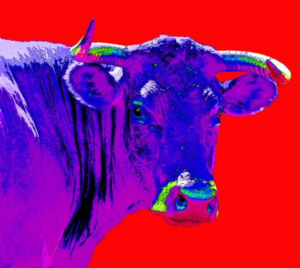 販売者は フランス中央部のマッシュ記号イラストの背景のアイコンでカラースポットとカンタルに起源を持つ牛の品種です — ストック写真