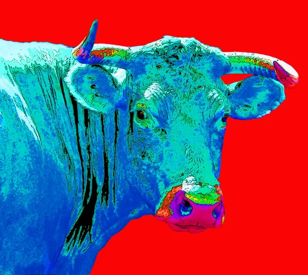 販売者は フランス中央部のマッシュ記号イラストの背景のアイコンでカラースポットとカンタルに起源を持つ牛の品種です — ストック写真