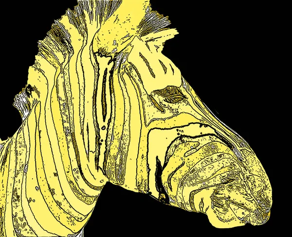 Иллюстрация Знака Зебры Иконка Поп Арта Цветными Пятнами — стоковое фото