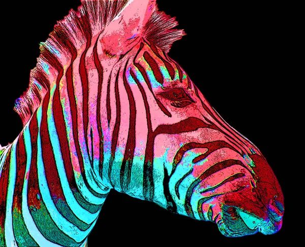 Zebra Teken Illustratie Pop Art Achtergrond Pictogram Met Kleurvlekken — Stockfoto