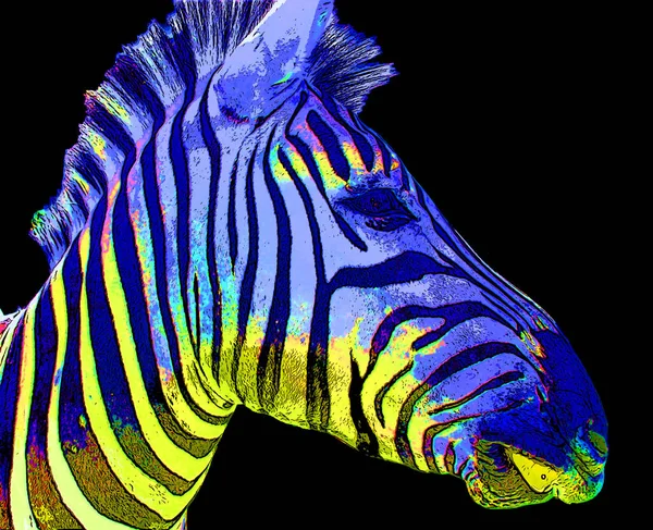 Zebras Sinal Ilustração Pop Art Ícone Fundo Com Manchas Cor — Fotografia de Stock