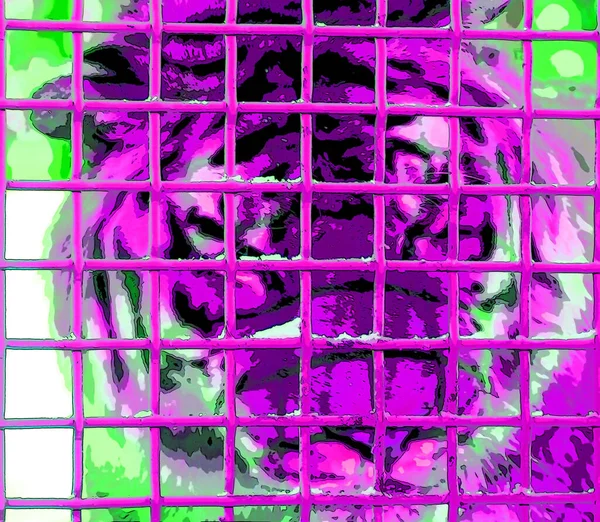 笼中的老虎标志图为带有色斑的流行艺术背景图标 — 图库照片