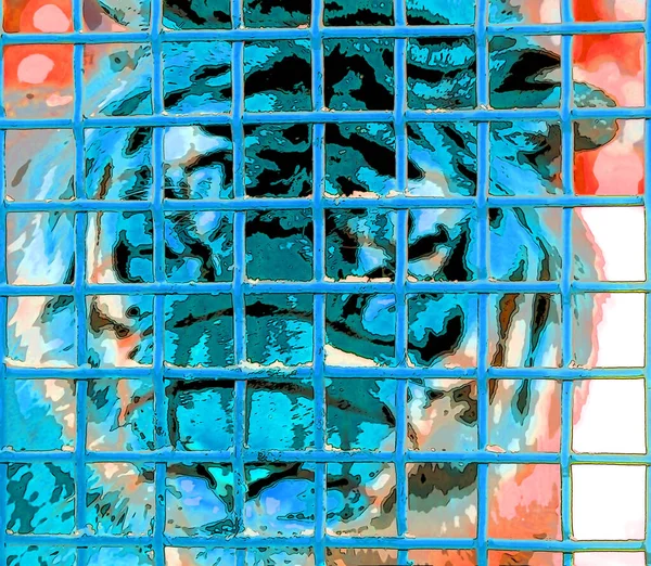 Τίγρης Κλουβί Σημάδι Εικονογράφηση Ποπ Art Εικονίδιο Φόντου Κηλίδες Χρώματος — Φωτογραφία Αρχείου
