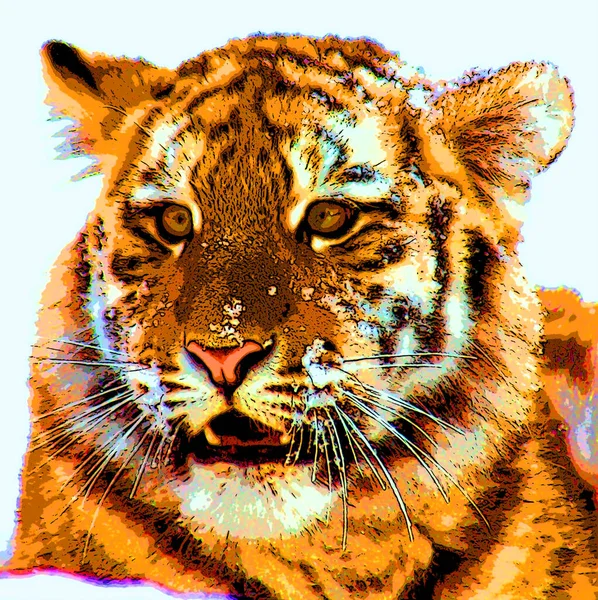 Tiger Cub Segno Illustrazione Pop Art Icona Sfondo Con Macchie — Foto Stock