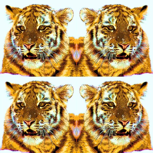 Tiger Filhote Sinal Ilustração Pop Art Ícone Fundo Com Manchas — Fotografia de Stock