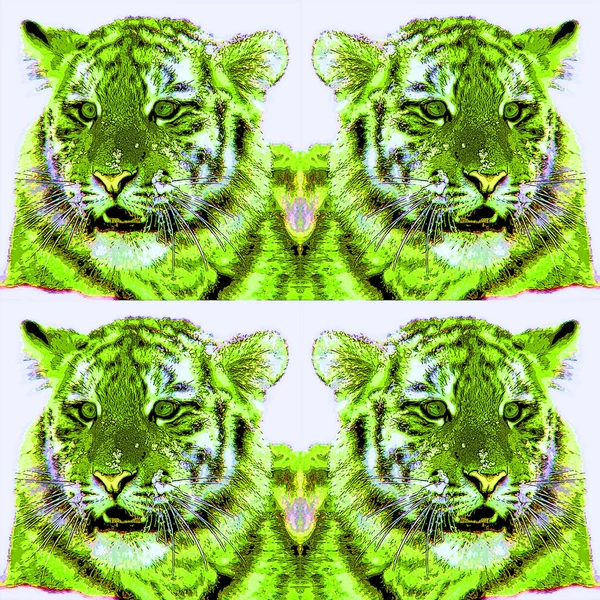 Tiger Cub Signe Illustration Pop Art Icône Fond Avec Des — Photo