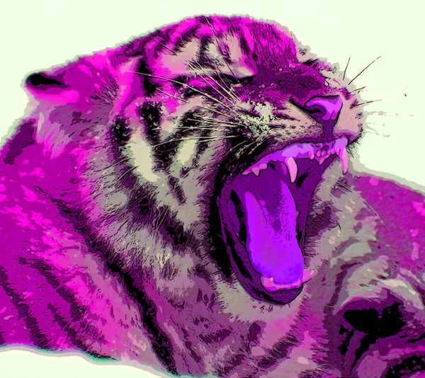 Tiger Cub Signe Illustration Pop Art Icône Fond Avec Des — Photo