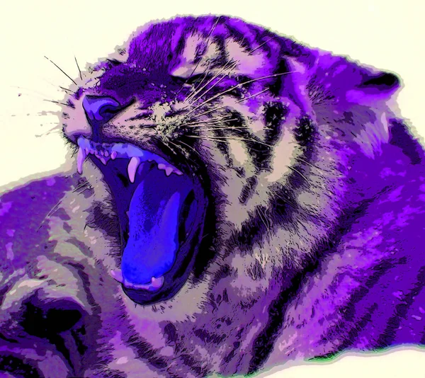 Tiger Cub Sign Illustration Pop Art Background Icon Color Spots — Stock Photo, Image