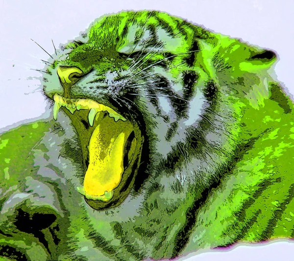 Tigre Signo Cachorro Ilustración Pop Art Icono Fondo Con Manchas — Foto de Stock