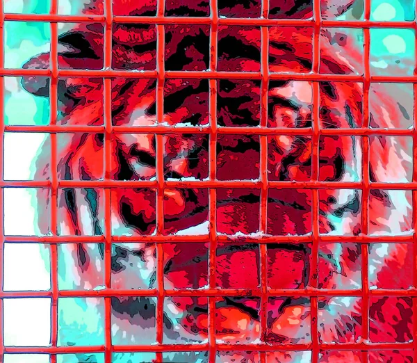 Tigre Cage Signe Illustration Pop Art Icône Fond Avec Des — Photo