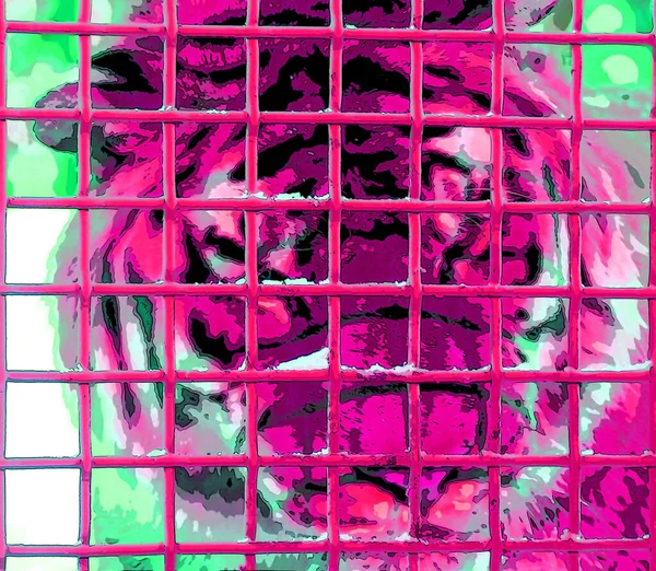 笼中的老虎标志图为带有色斑的流行艺术背景图标 — 图库照片