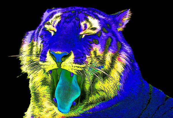 Tiger Sinal Ilustração Pop Art Ícone Fundo Com Manchas Cor — Fotografia de Stock