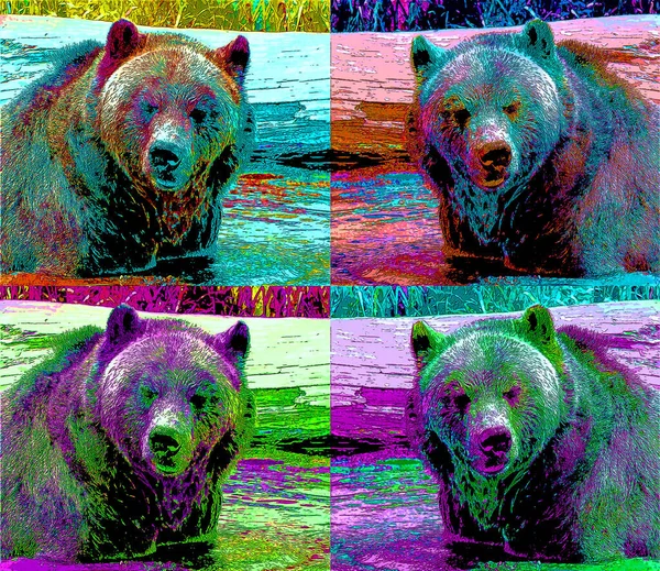 Grizzly Oso Signo Ilustración Pop Art Icono Fondo Con Manchas — Foto de Stock