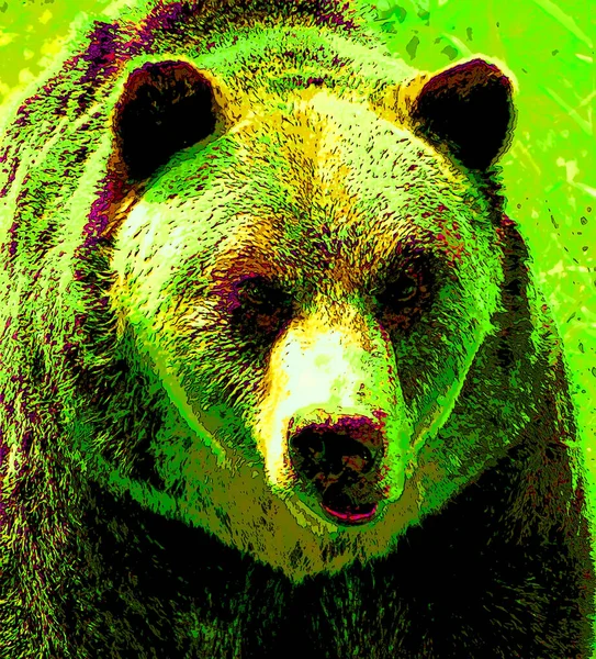 Grizzly Oso Signo Ilustración Pop Art Icono Fondo Con Manchas —  Fotos de Stock