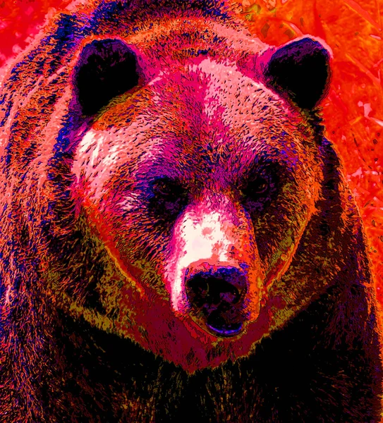 Grizzly Björn Tecken Illustration Pop Art Bakgrund Ikon Med Färg — Stockfoto