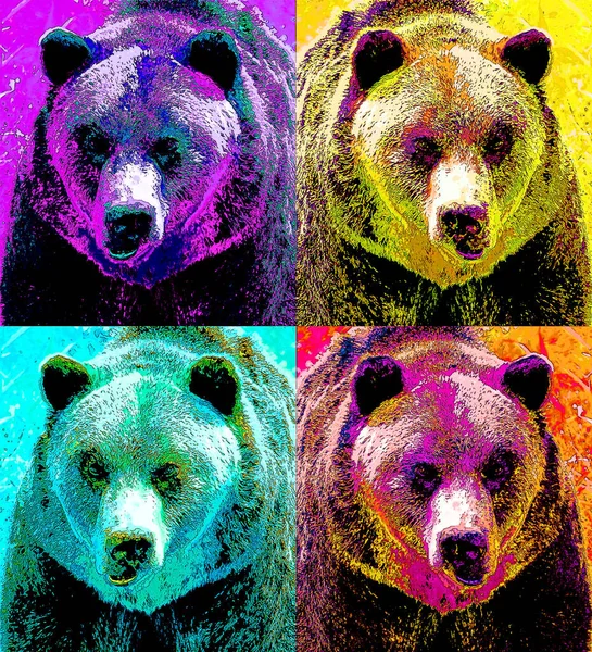 Grizzly Bear Işaret Işareti Renk Lekeli Pop Art Arkaplan Simgesi — Stok fotoğraf