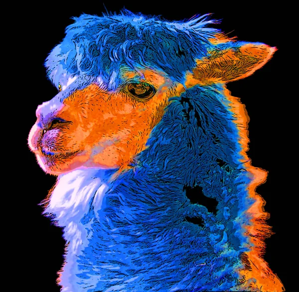 Pop Art Llama Icon Color Spots — Stock Photo, Image