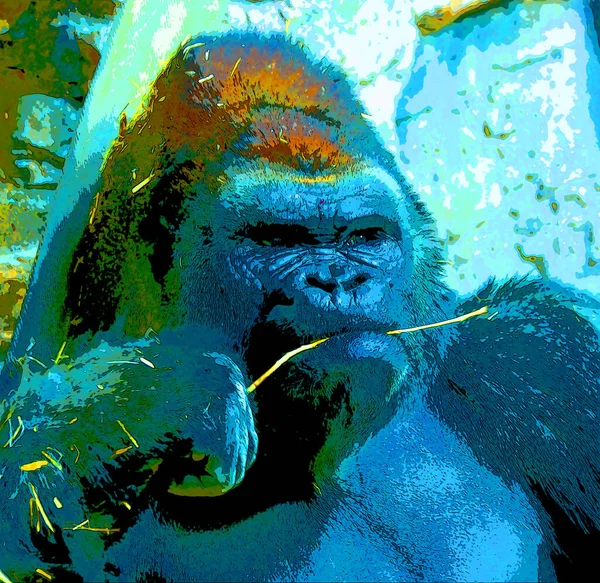Pop Art Gorilla Icoon Met Kleurvlekken — Stockfoto