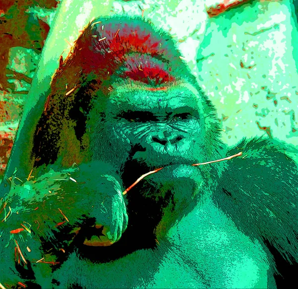 Renkli Pop Sanat Gorili Simgesi — Stok fotoğraf