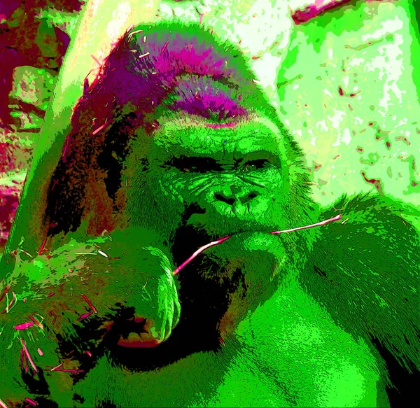 Pop Art Gorilla Ikone Mit Farbflecken — Stockfoto