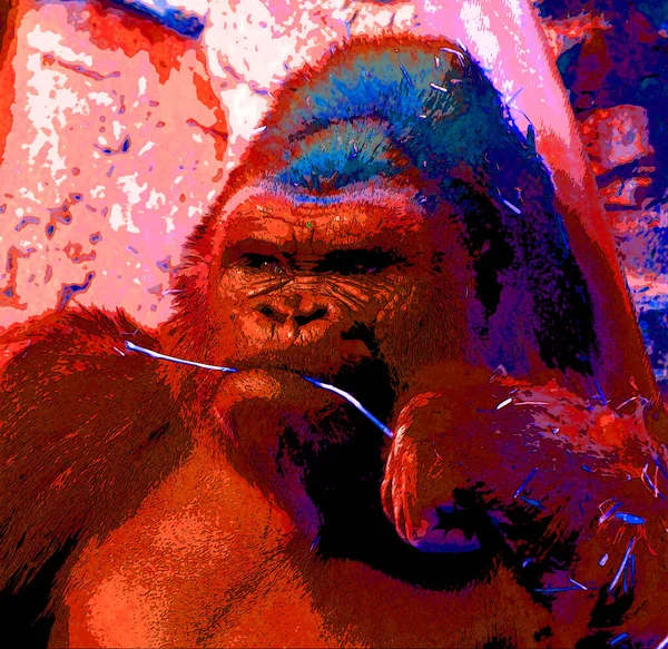 Pop Konst Gorilla Ikon Med Färgfläckar — Stockfoto