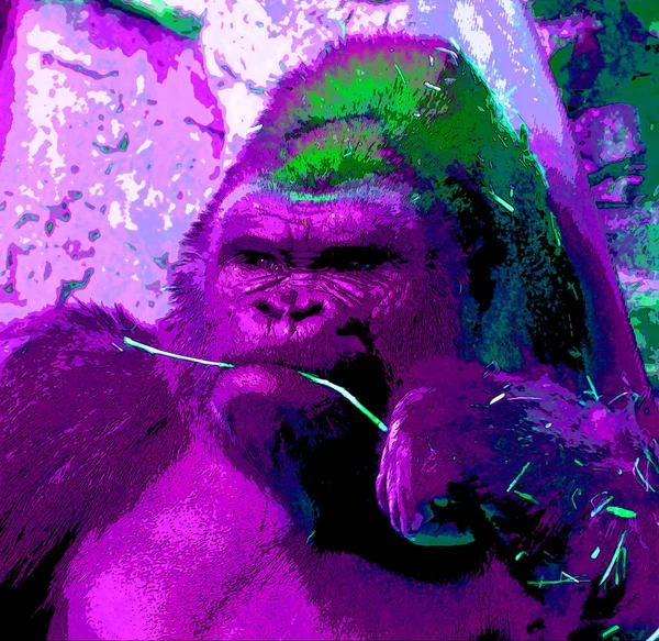 Ícone Gorila Arte Pop Com Manchas Cor — Fotografia de Stock