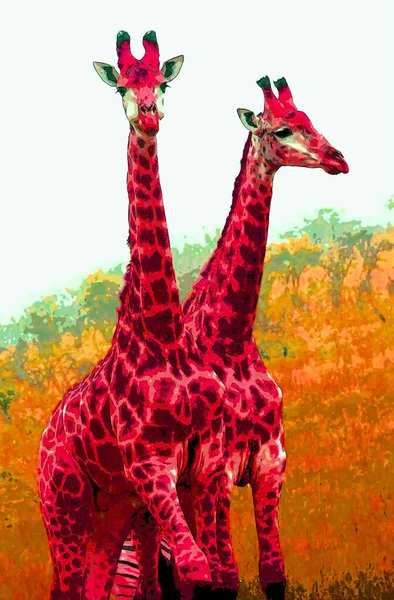 Girafa Sinal Ilustração Pop Art Ícone Fundo Com Manchas Cor — Fotografia de Stock