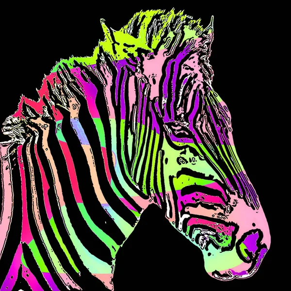 Zebras Sign Illustration Pop Art Background Icon Yellow Color Spots — 스톡 사진