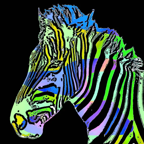 Zebra Teken Illustratie Pop Art Achtergrond Pictogram Met Gele Vlekken — Stockfoto