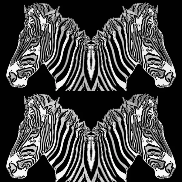 Zebras Zeichen Illustration Pop Art Hintergrund Symbol Mit Gelben Farbflecken — Stockfoto