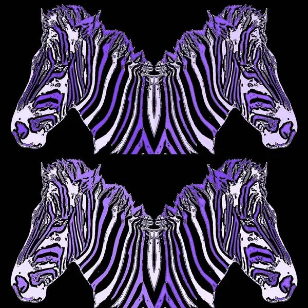 Tanda Zebra Ilustrasi Ikon Latar Belakang Seni Pop Dengan Bintik — Stok Foto