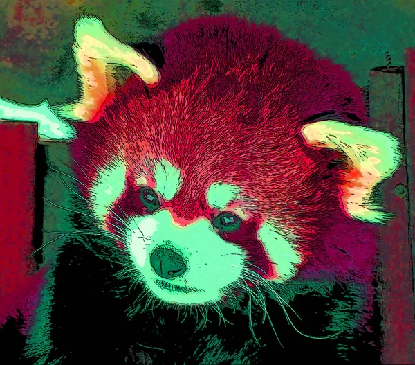 可爱的红色熊猫标志 带有彩色斑点的流行艺术背景图标 — 图库照片