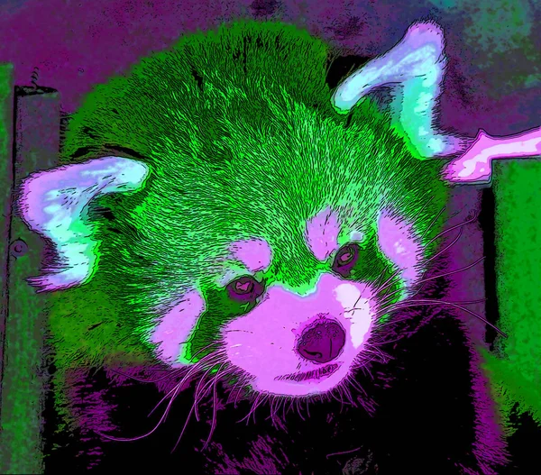 Bonito Sinal Panda Vermelho Ilustração Ícone Fundo Pop Art Com — Fotografia de Stock