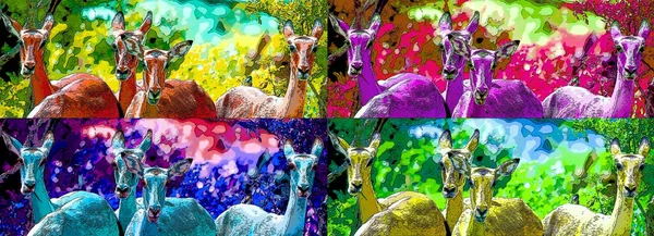 Impalas Hluhluwe Imfolozi Parco Sud Africa Segno Illustrazione Pop Art — Foto Stock