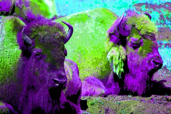 Pop Art Bulls ไอคอนท — ภาพถ่ายสต็อก