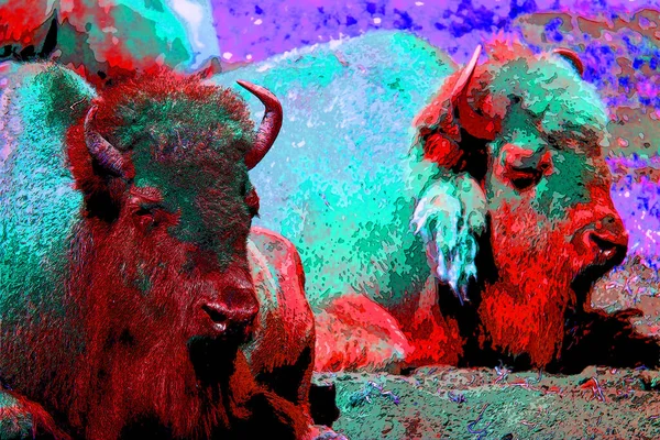 Pop Art Bull Icon Color Spots — Fotografia de Stock