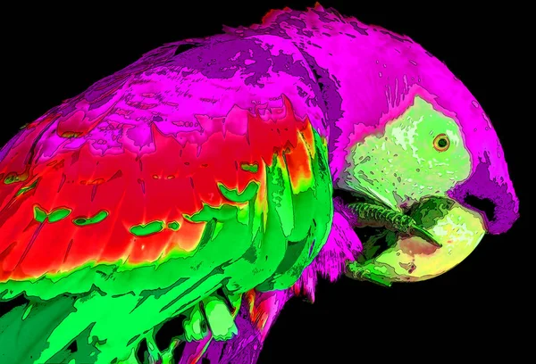 Kırmızı Macaw Ara Macao Renk Lekeli Pop Art Arkaplan Simgesi — Stok fotoğraf