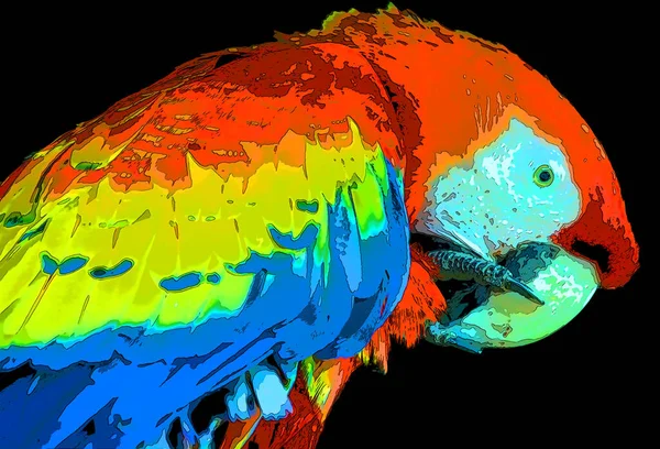 Kırmızı Macaw Ara Macao Renk Lekeli Pop Art Arkaplan Simgesi — Stok fotoğraf