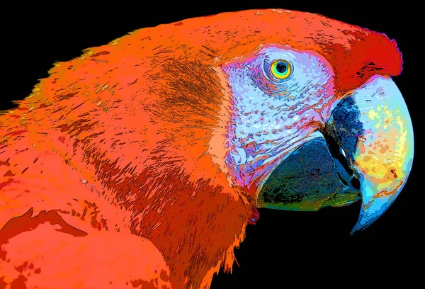 Scarlet Macaw Ara Macao Jel Illusztráció Pop Art Háttér Ikon — Stock Fotó