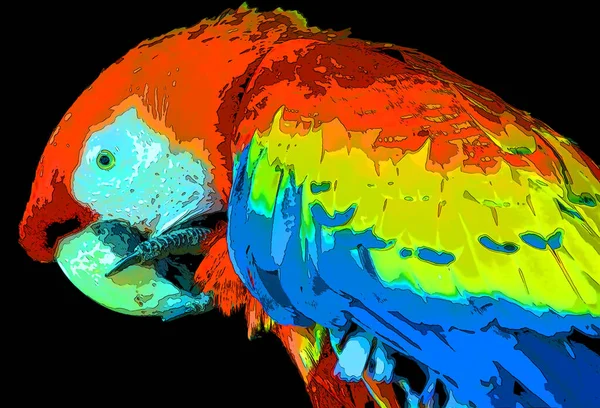 Kırmızı Macaw Ara Macao Renk Lekeli Pop Art Arkaplan Simgesi — Stok fotoğraf