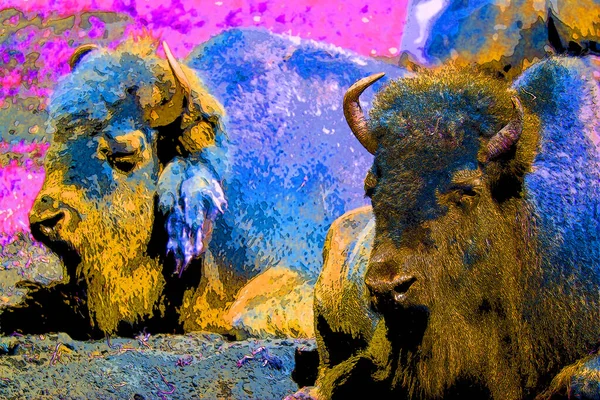 Pop Art Icono Toro Con Manchas Color — Foto de Stock