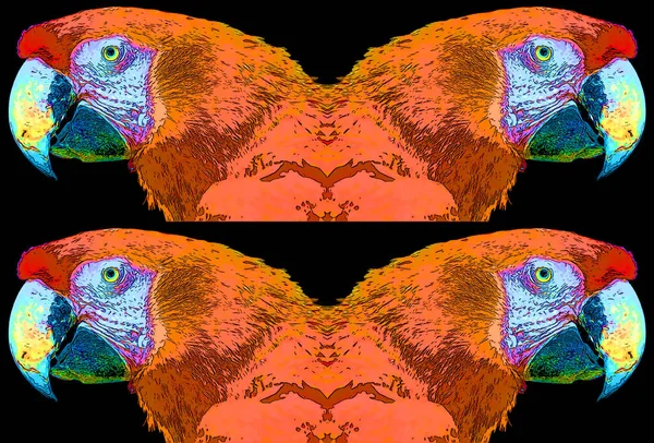 Scarlet Macaw Ara Macao Jel Illusztráció Pop Art Háttér Ikon — Stock Fotó