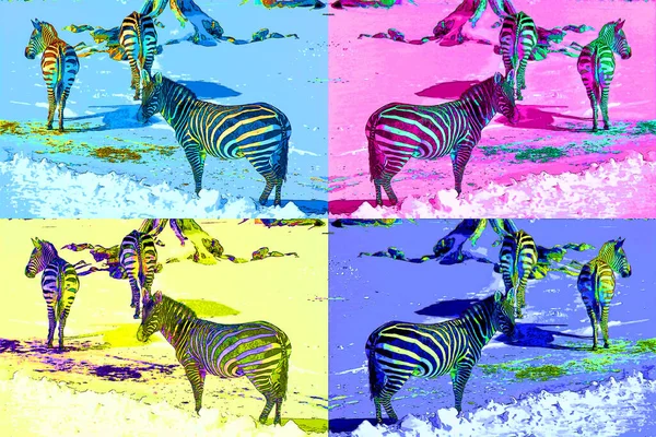 Zebre Segno Illustrazione Pop Art Icona Sfondo Con Macchie Colore — Foto Stock